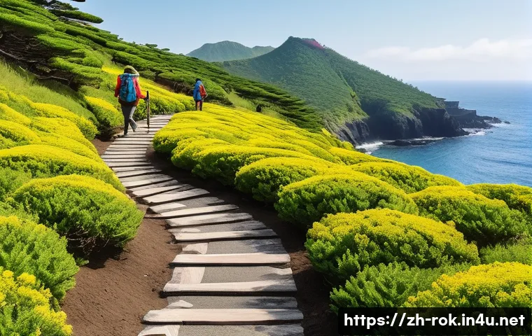 제주도 오름 등산 코스 - A peaceful beginner hiking trail along a gentle volcanic crater slope on Jeju Island, featuring wide...